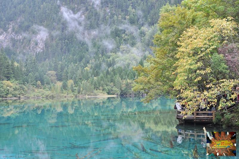 9721bc4096671cd27ca1071298a8ef7