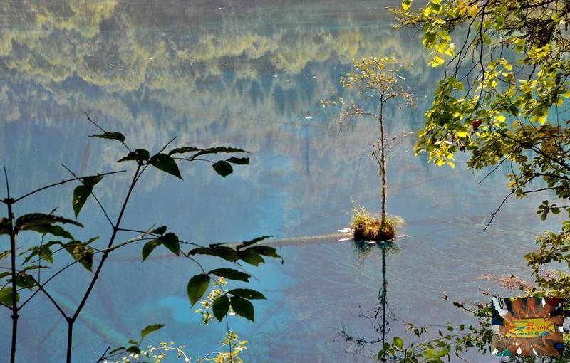 12500d26e45be15f10912c14924c7d7