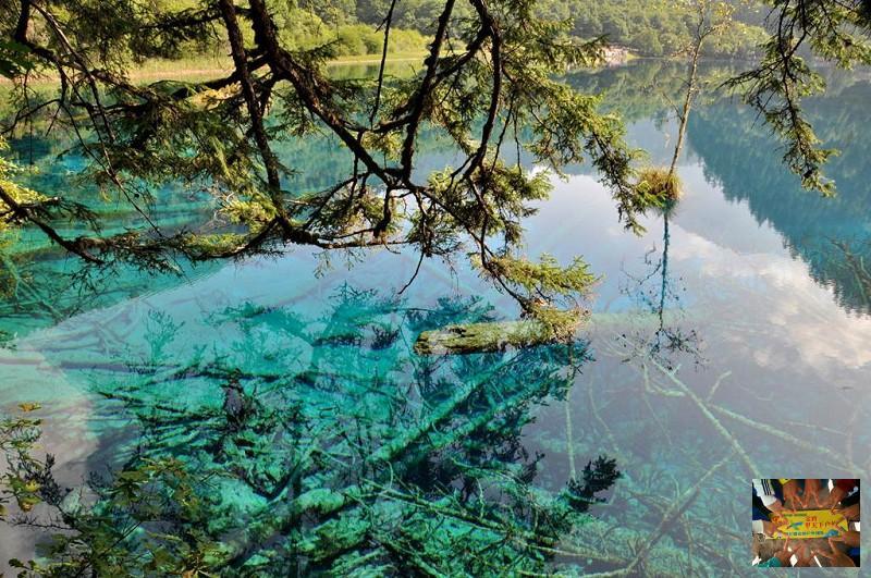 55184b2e16c286d47ab46a654e8a3a6