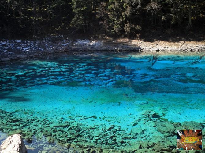 7926004f80be8c3ba6a6a26920400bd