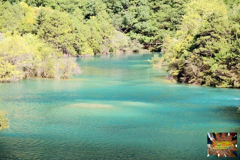 09261550d069fce96d7d1e018a17f6f