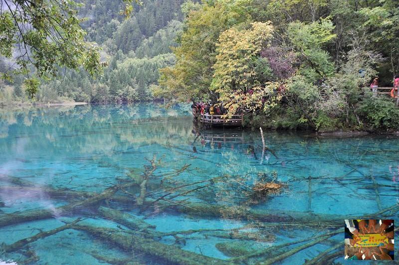 bc4308595a024d1a1b23b85cbaf0e50