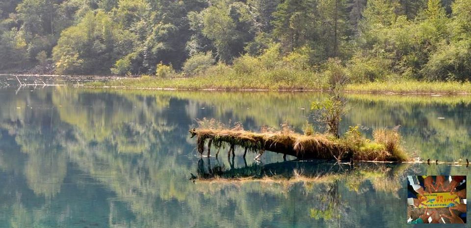 cbd1371d8a7f43bb21e642d5a84defd