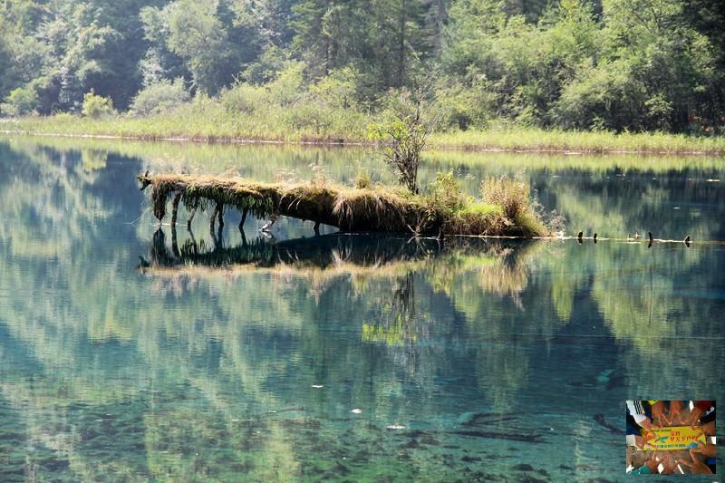 d3559cd68d220b721fd7c35b1c9bda5