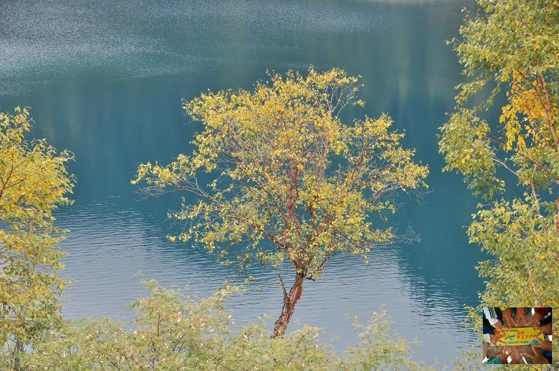 dad6ae60193492c60b758e6030a1609