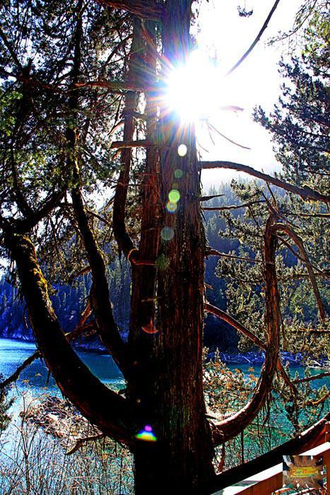 e000b43c4d9c99aaa52cecce00e8959