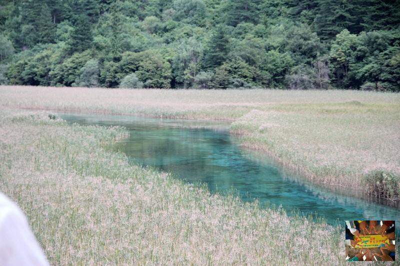 e0b509ff274becf94ef17796501b7b5