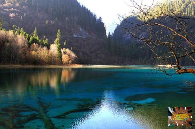 f60c3f0552f8938bda4dbabffe03195