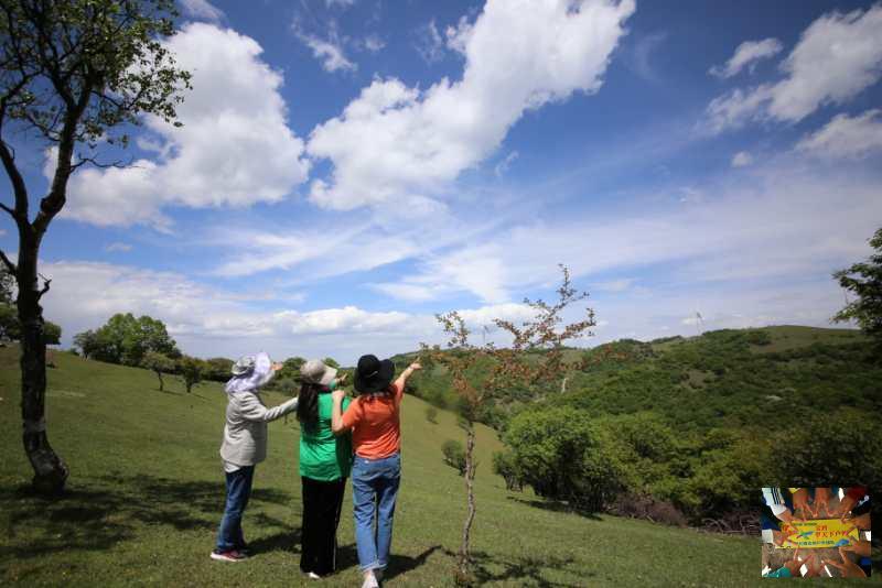 4cfbdfc4d708cbf79efa29854c2bdf1