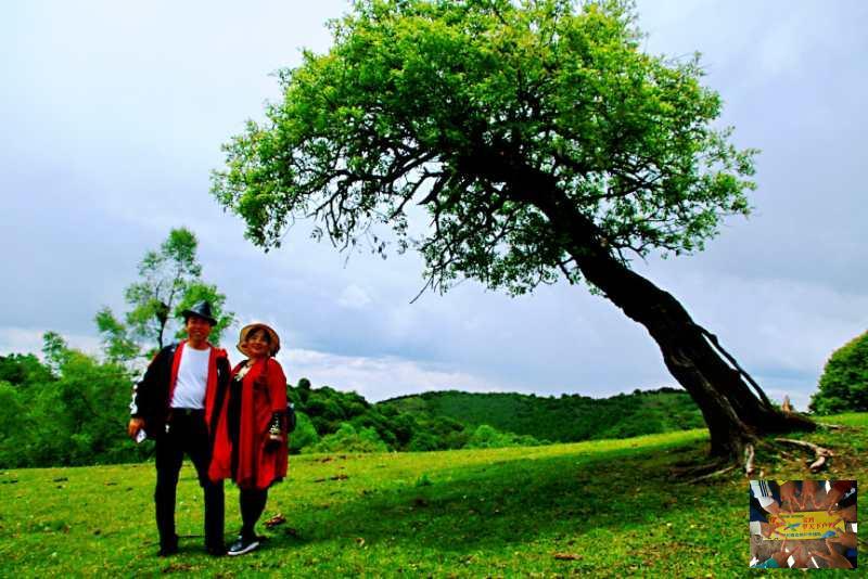 07d0230d2b0e90bfd6f4d78f415d755