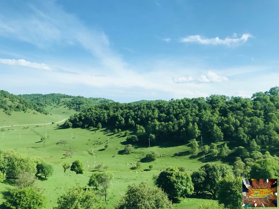 4db5b2bc075515d90c0fc1a189215f2