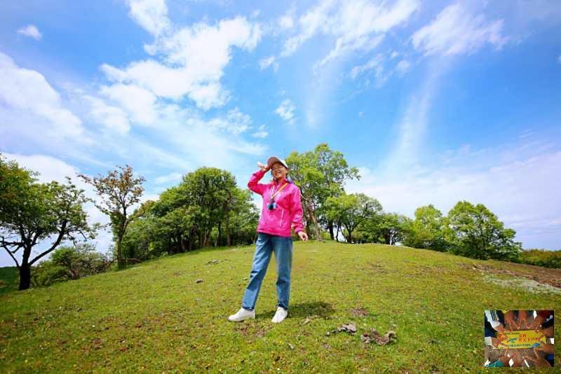 0780c0c37703aa49d6325a6d4df1210