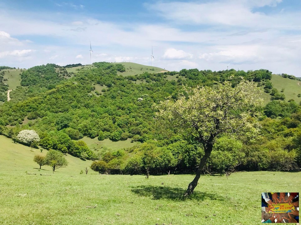 62674cbd7adacc6ec8b79ead3efcc10