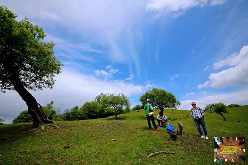 bad304b5057c51ee7043b1079604b18