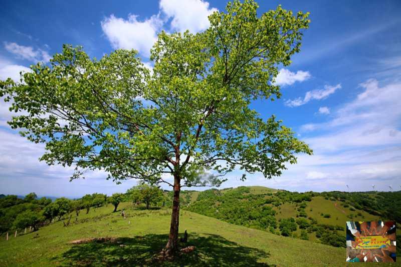 bdf9d321ea797b12cfce5497b26c0ad