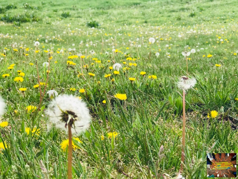 a935ea1ce3f6972ae0f1eb8c9fb0e6f