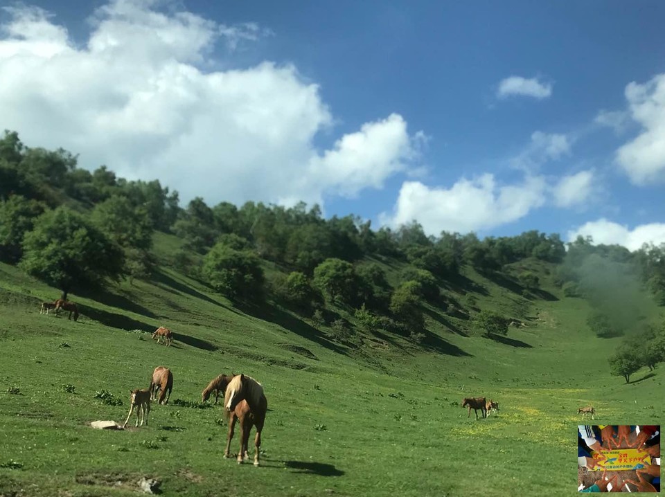 de09539c84c2a7747ae17c85df8f063