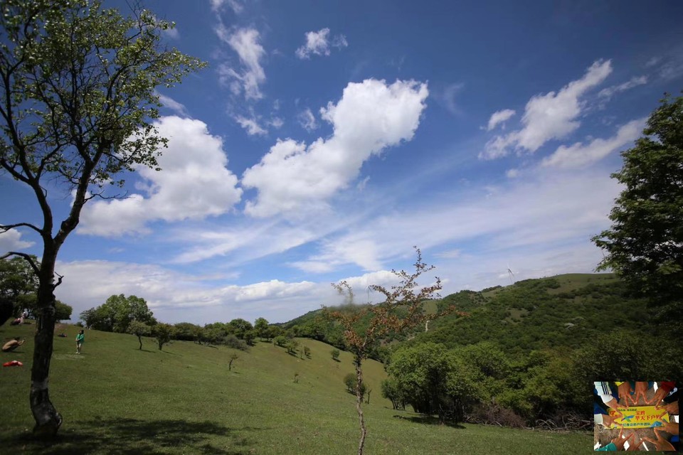 2be97cb80db3f445cd2912ab0715df6