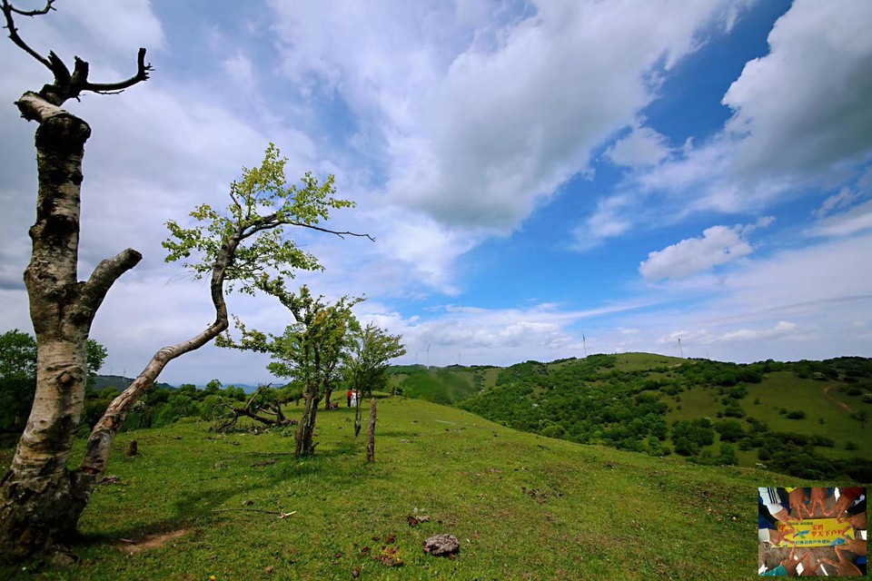 7ed93bc283588ad1bee29cbe5100c69