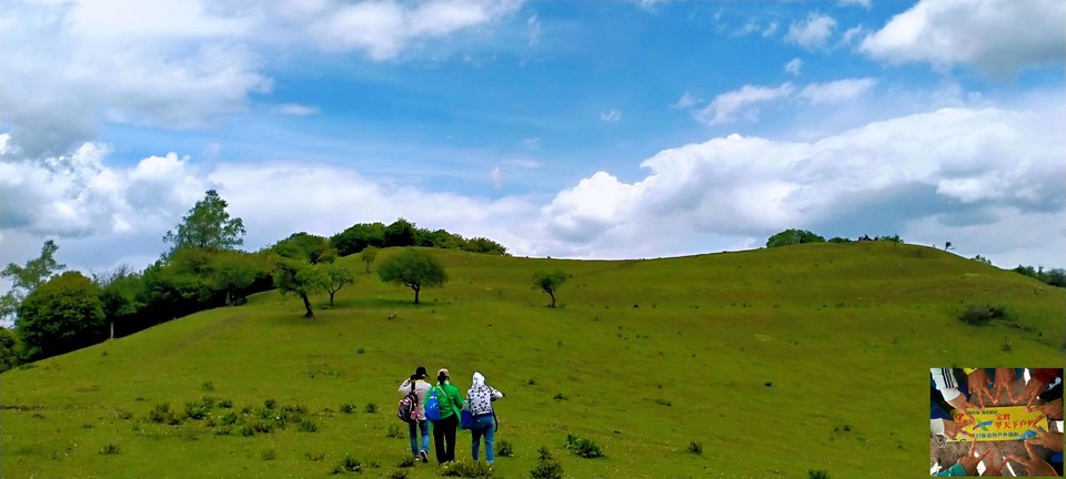 35b5ed3b9b498e6ad48302bea2eb537