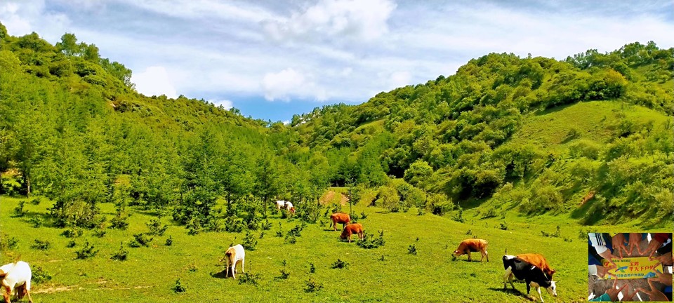 306c043d278400df5173f74130dbd2a