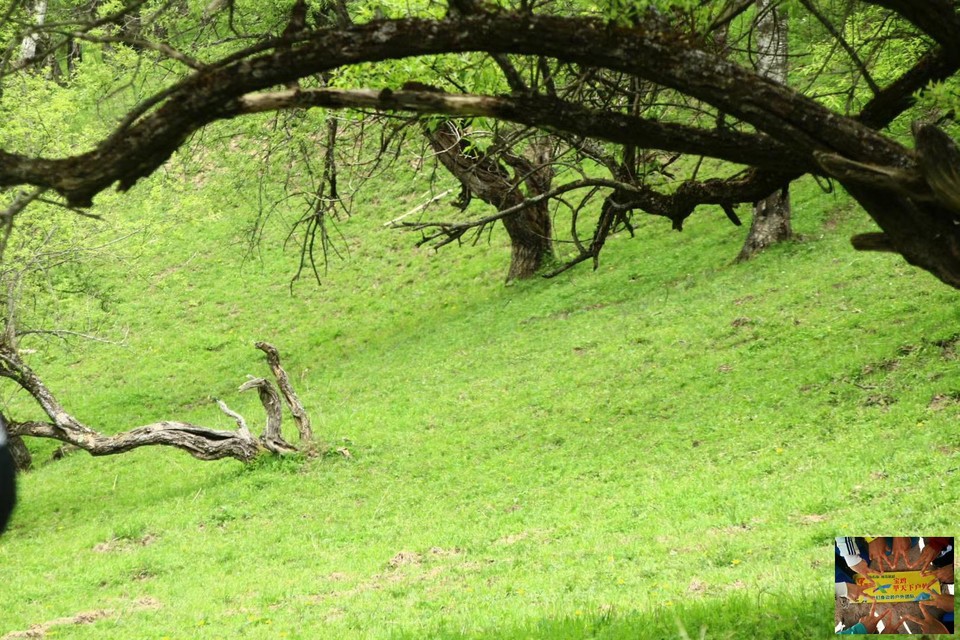 0699442b25ff34bddc65acb7317cf88