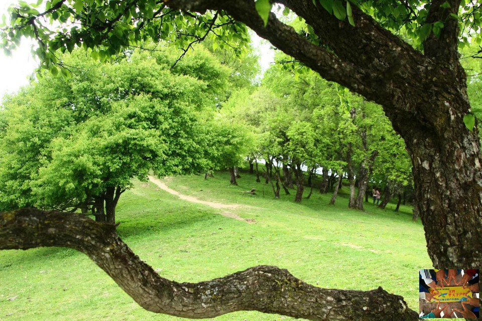 ad7662b66483e3027d4b8061c5f8f44