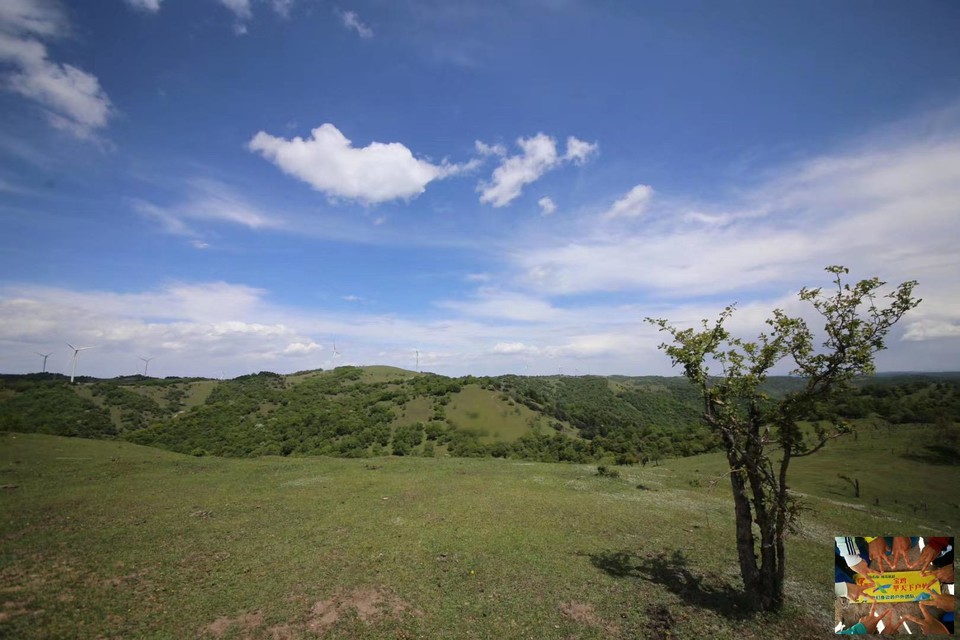 dae87931303e769f21f05e0a2fa7e62