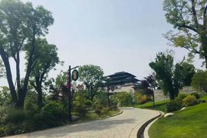 春天的湖北记录