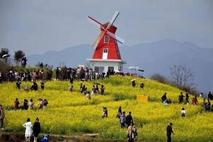 2月23日（周二）：汉中油菜花+兴汉胜景+汉颂  一日游  68元