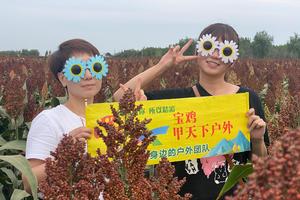 9月9日（周四）：网红高粱+周公庙+凤凰山+封神乐园+鬼方之战+百鸟乐园+雍城花海  一日游（冰点.特价）  38元