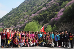 4月20日（周日）：浪漫紫荆花  彩虹太平峪   户外一日游  80元