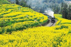 3月4日—9日：嘉阳小火车+大渡河峡谷+兴文石海+乐山大佛+蜀南竹海+美味成都  户外六日游  735元