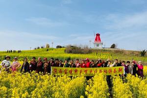 3月23日（周日）：汉中油菜花+网红古汉台+户外礼物  户外一日游  78元