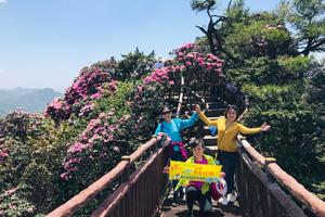 5月11日—12日：走进光雾山 细赏杜鹃花   2日游  238元