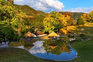 10月29日 （周二）：嘉陵镇千年银杏+灵官峡漫山红叶  户外一日游   85元