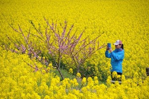 3月10日—12日：剑门关+青木川+阆中古城+昭化古城+户外礼物   户外三日游 360元