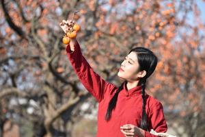 11月27日：彬州柿子林+大佛寺+开元寺+中山街  户外一日游  85元