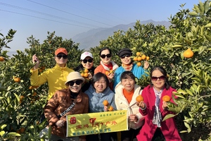 12月27日（周六）： 红嘴鸥+蜜桔园+古汉台   一日游 85元