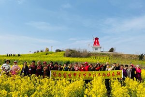 3月21日（周六）：汉中油菜花+网红古汉台+户外礼物  户外一日游  78元