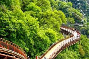 3月19日（周四）：免票少华山  户外1日游  99元