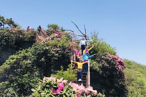 5月9日—10日：走进光雾山 细赏杜鹃花   经典2日游  198元