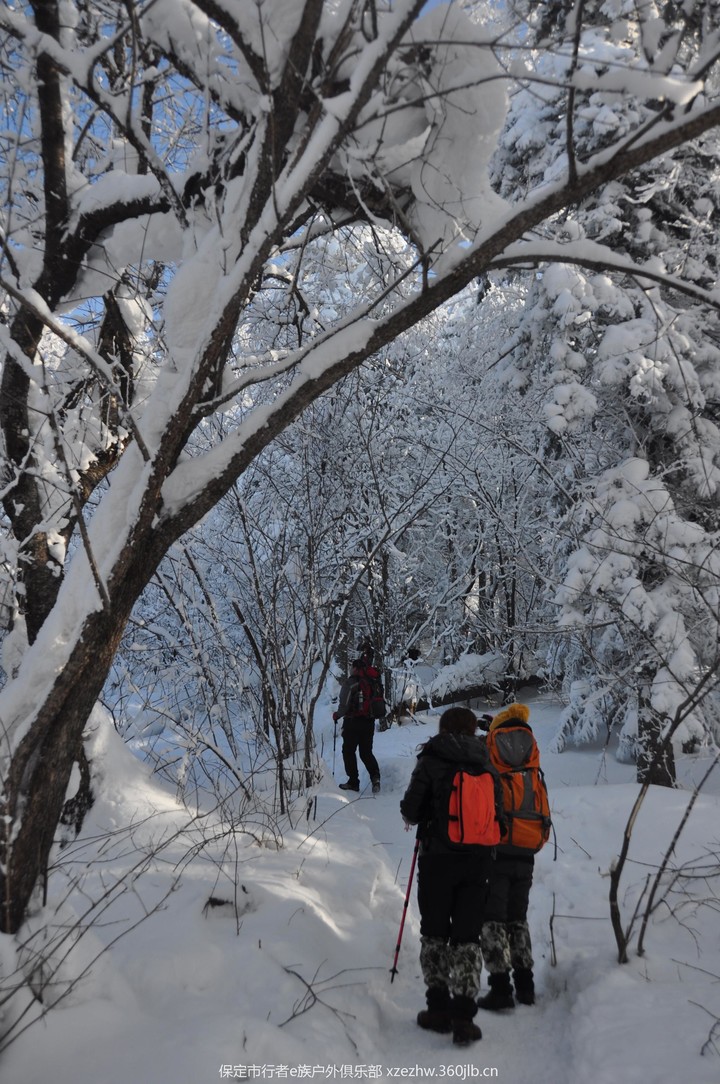雪乡 538.jpg