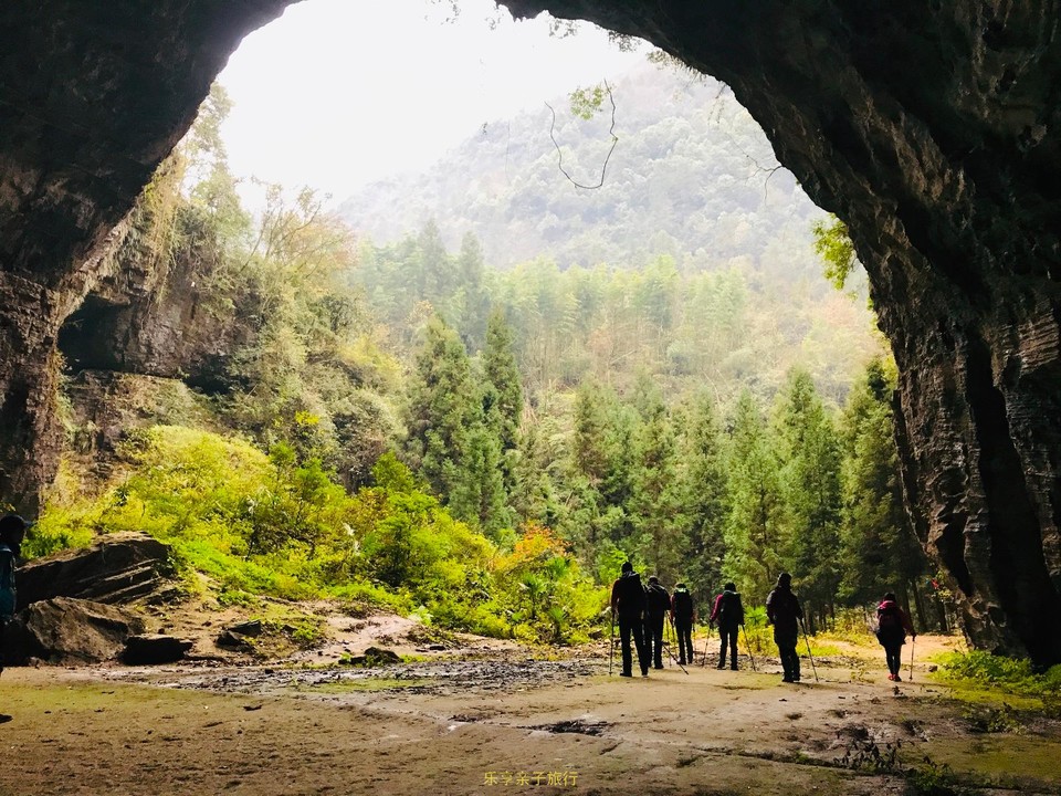 A77DF440-43C6-46CF-8FCC-FF5C8DC39A3A