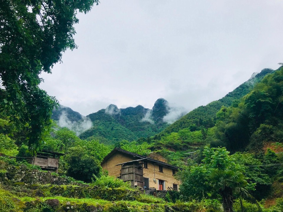 5A50A21A-3A4D-43A4-A02B-03E334D071A3