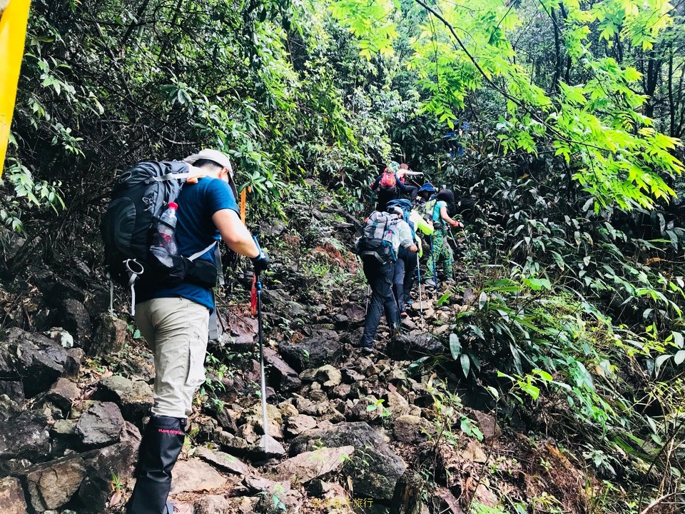 D8BED0D4-F4E7-4D6C-A5AD-3FAE9E563ABD