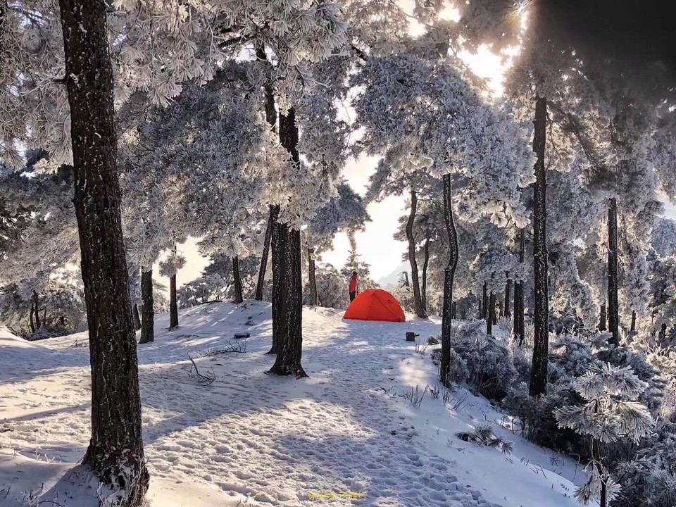 C9FBAB0D-900D-4237-A29D-965FB04A5FAB