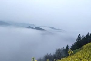 石潭花海之云海