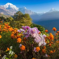 Nepal 3月21-28日 | 尼泊尔·布恩山8天7晚徒步大会