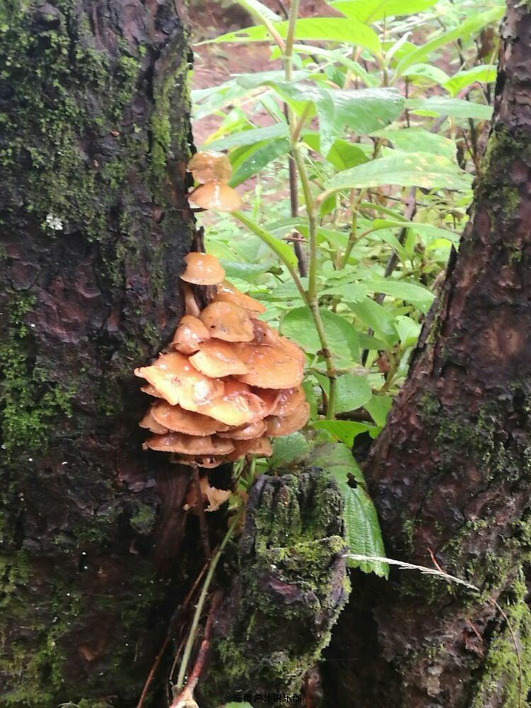 mmexport1470921761170